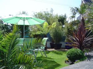 A garden outside Blue Palms 