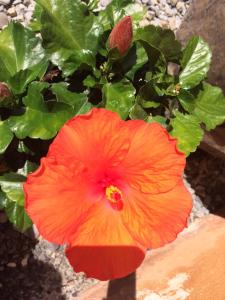 ジョジエにあるLe Val d'Ailleursのギャラリーの写真