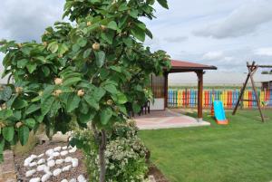einen Birnbaum im Hof mit Spielplatz in der Unterkunft Le Terre Di Bac in Borgo Montenero