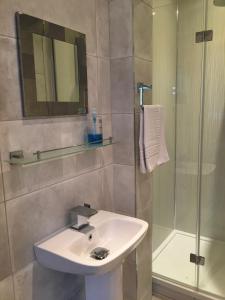 a bathroom with a sink and a shower at Dalmore Lodge Guest House in Edinburgh