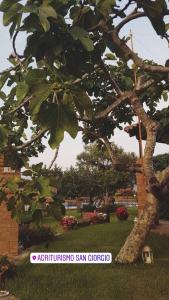una señal frente a un árbol en un parque en Agriturismo San Giorgio, en Casal Velino