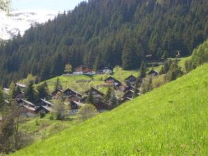 Foto dalla galleria di Wallisblick a Blatten bei Naters