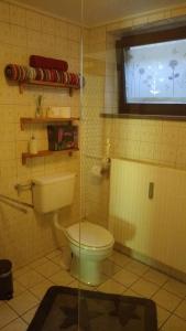 une salle de bain avec toilettes et fenêtre dans l'établissement Ferienwohnung Rhododendron - Natur pur am Highwalk, à Rotenburg an der Fulda