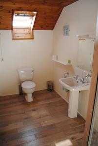 uma casa de banho com um WC e um lavatório em The Castle Bed & Breakfast em Ballintoy