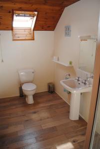 un baño con inodoro y lavabo en The Castle Bed & Breakfast, en Ballintoy
