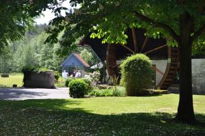 Zahrada ubytování Landgasthof Geiersmühle