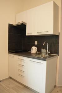 Η κουζίνα ή μικρή κουζίνα στο Apartmány Polevsko