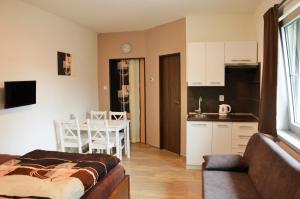 Η κουζίνα ή μικρή κουζίνα στο Apartmány Polevsko