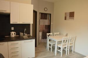 Η κουζίνα ή μικρή κουζίνα στο Apartmány Polevsko
