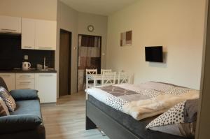 Η κουζίνα ή μικρή κουζίνα στο Apartmány Polevsko
