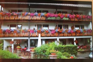 Afbeelding uit fotogalerij van Haus Lätsch in Bad Peterstal-Griesbach +26 foto's