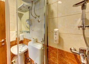 a bathroom with a shower and a toilet and a sink at Pansion Villa Nur in Mostar