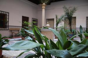 Vonkajšia záhrada v ubytovaní Apartamento SWEET HOME TOLEDO