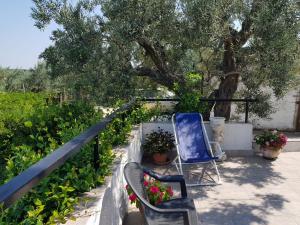 a patio with two chairs and flowers and a tree at B&B Stella dell'Adriatico in Ortona
