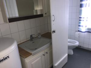 Koupelna v ubytování Galde Uppigard