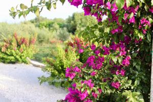 Kép Luxury Country Villa by SardiniaGem, walk to beach szállásáról Oroseiben a galériában