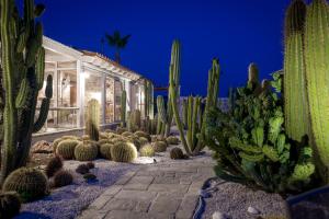 Zahrada ubytování Garden Cactus