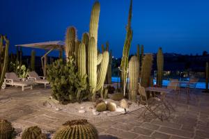 Bazén v ubytování Garden Cactus nebo v jeho okolí