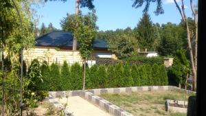 a garden with a house in the background at Holiday paradise in Berlin