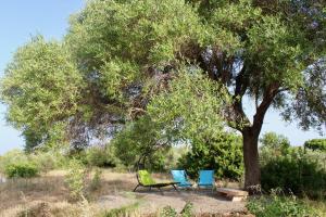 Kép Luxury Country Villa by SardiniaGem, walk to beach szállásáról Oroseiben a galériában