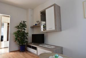 sala de estar con TV y espejo en Appartement Gombotz en Halbenrain
