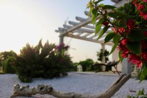 Kép Luxury Country Villa by SardiniaGem, walk to beach szállásáról Oroseiben a galériában