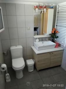 Koupelna v ubytování Manousos apartment