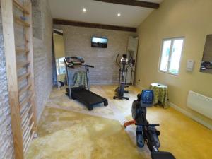 a gym with treadmills and machines in a room at Domaine du Griffier in Granzay
