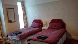a bedroom with two beds and a window at Neuadd Arms Hotel in Llanwrtyd Wells