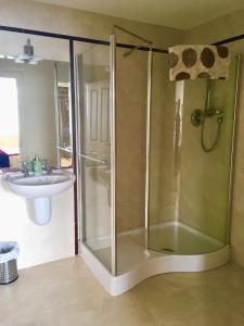 a bathroom with a shower and a sink at Puffin Apartment in Valentia Island