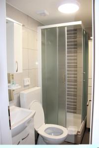 a bathroom with a toilet and a glass shower at Apartments Borna 2 in Zagreb