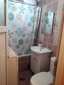 y baño con aseo, lavabo y ducha. en Vila Vasojević, en Nova Varoš