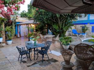 Hotel El Tronco Inc في بوكا شيكا: فناء في الهواء الطلق مع طاولات وكراسي ونباتات