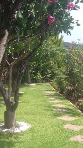 A garden outside Villa Sunset