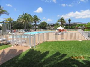 une piscine entourée d'une clôture et de palmiers dans l'établissement Bungalow Los Melocotones, à Maspalomas