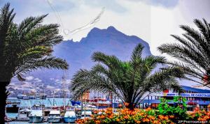 a view of a marina with boats and palm trees at Private Apartament Celestina & Carlos in Mindelo
