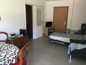 TV a/nebo společenská místnost v ubytování Casa in Königs GarteN