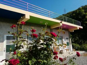 Balkon ili terasa u objektu 台東民宿 關山桃花心木民宿農場