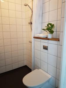 a bathroom with a toilet and a plant on a shelf at Smålandsstenar hotell in Smålandsstenar