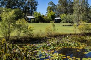 a garden with a pond filled with lily pads at Tuckeroo Cottages & Gardens in Rathdowney
