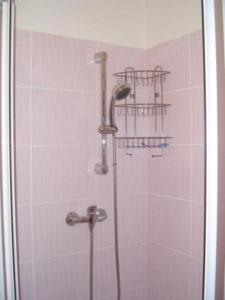 イェセニークにあるApartman Panoramaのバスルーム(シャワー、シャワーヘッド付)が備わります。