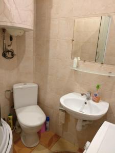 bagno con servizi igienici e lavandino di Apartment in L'viv City Center a Lviv