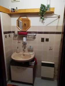 チェルヴェニー・コステレツにあるChalupa Bukoのバスルーム(洗面台、鏡付)