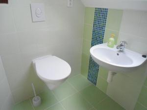 Vannituba majutusasutuses Suite Ohrada