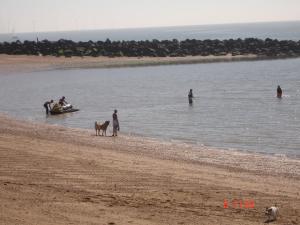 a group of people and a dog on a beach at Seaside Cottage in Clacton-on-Sea