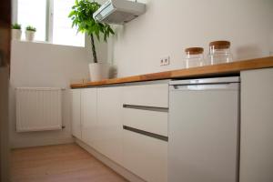 Kuchnia lub aneks kuchenny w obiekcie Real Beds Madrid