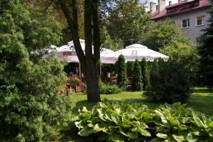 un jardin avec un parasol et quelques buissons et arbres dans l'établissement Pokoje Goscinne Koral, à Radomsko