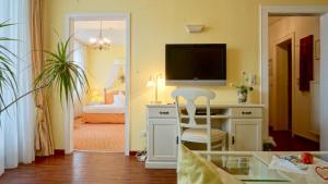 TV a/nebo společenská místnost v ubytování Hotel Alpha