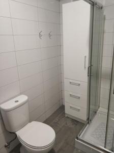 a bathroom with a toilet and a shower at Casavó in São Roque do Pico