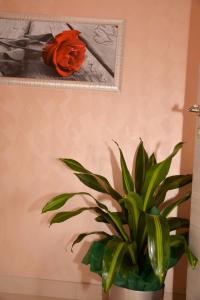 罗马Rome Innitaly Affittacamere o GuestHouse的相册照片